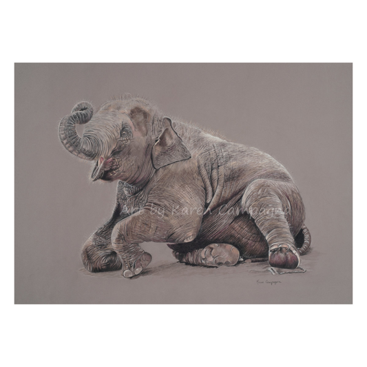 BABY ELEPHANT 8X10 ART BY KAREN CAMPAGNA ARTBYKARENCAMPAGNACOM