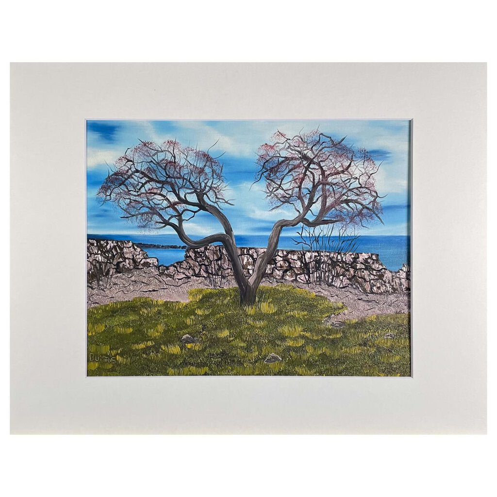 #169-7 Seacoast, Rye, NH 11"x14" matte / 8"x10" print