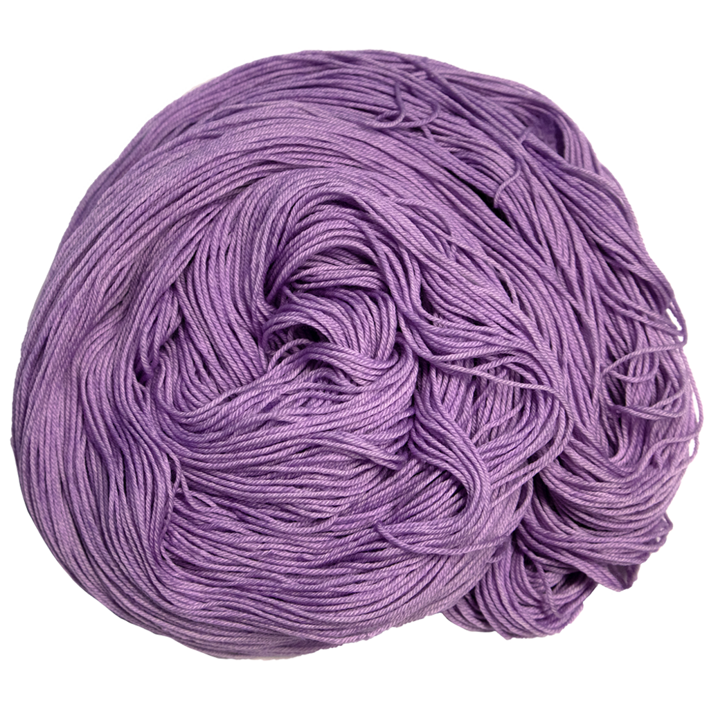 Amethyst - American Shorthair Fingering
