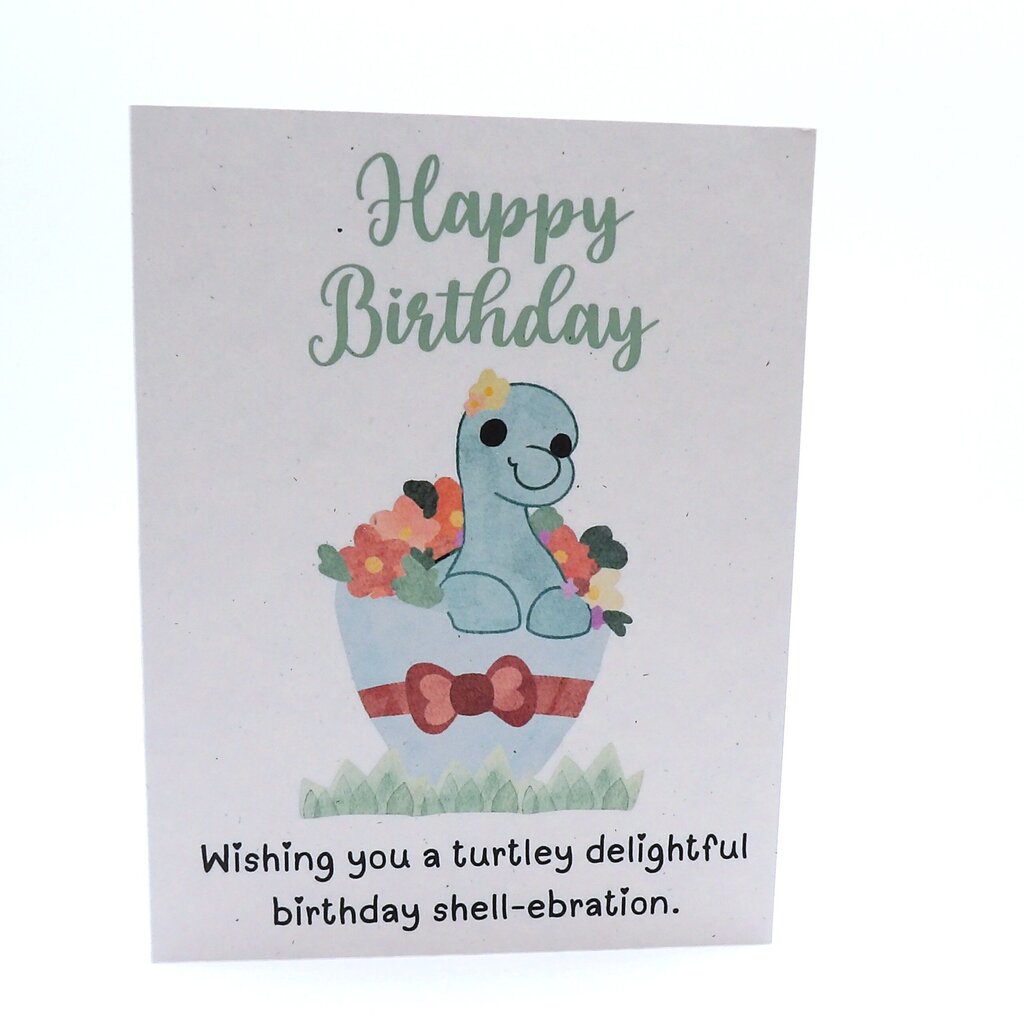 Turtle Birthday Shell-ebration
