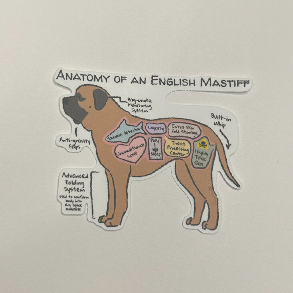 Anatomy of an English Mastiff Sticker