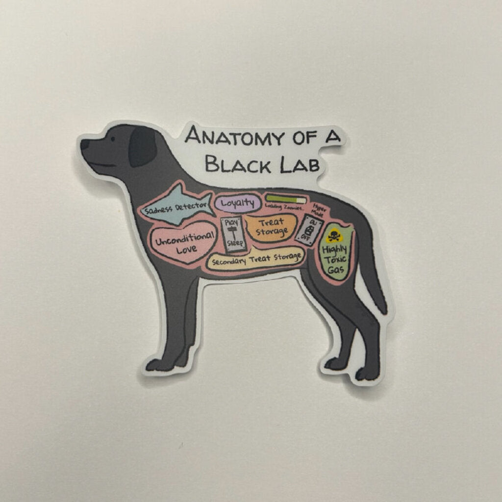 Anatomy of a Black Lab Sticker