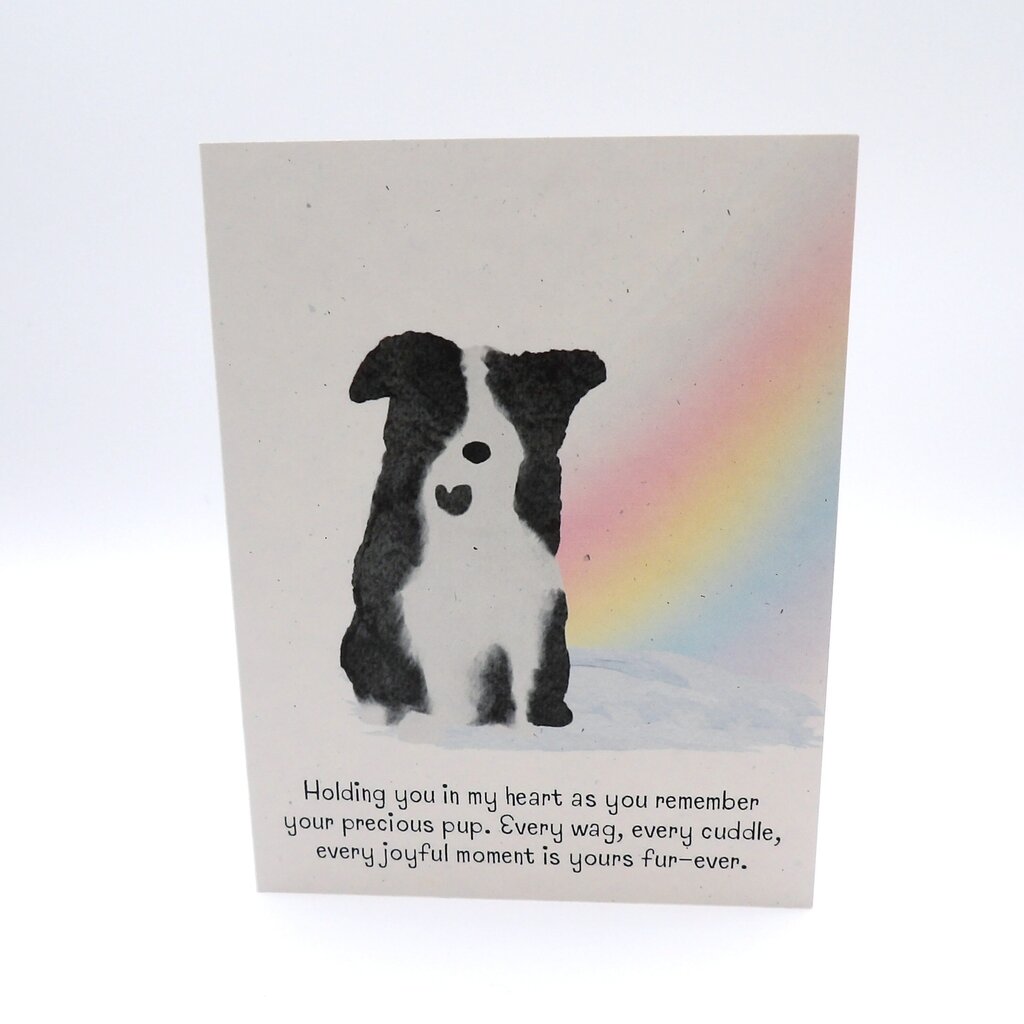 Rainbow Bridge Dog Bereavment Card