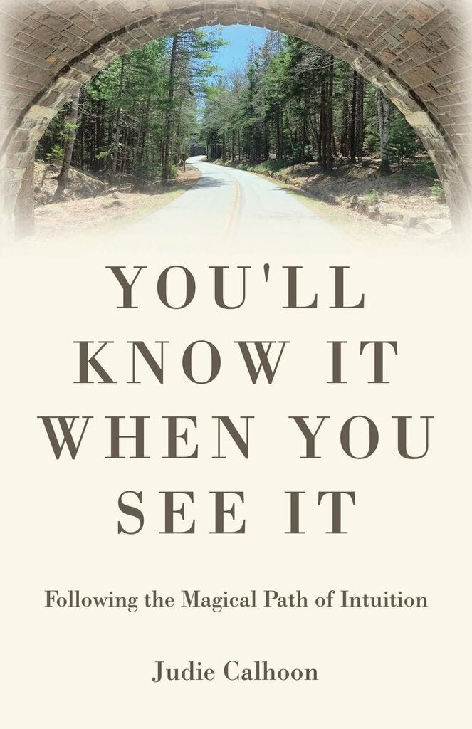 You'll Know It When You See It (Following the Magical path of Intuition - Book 1)