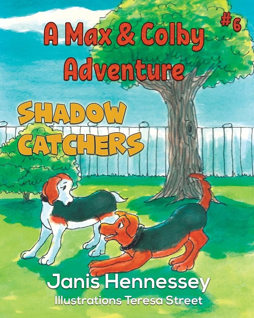 Shadow Catchers