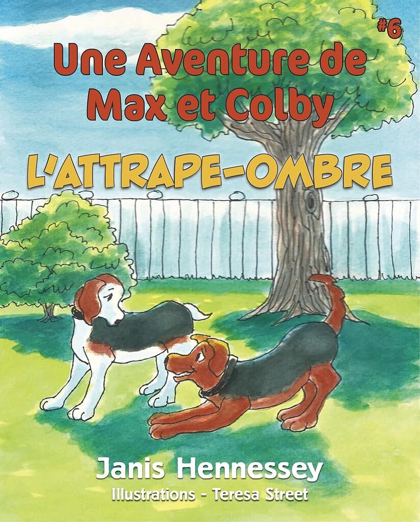 L'Attrape-ombre