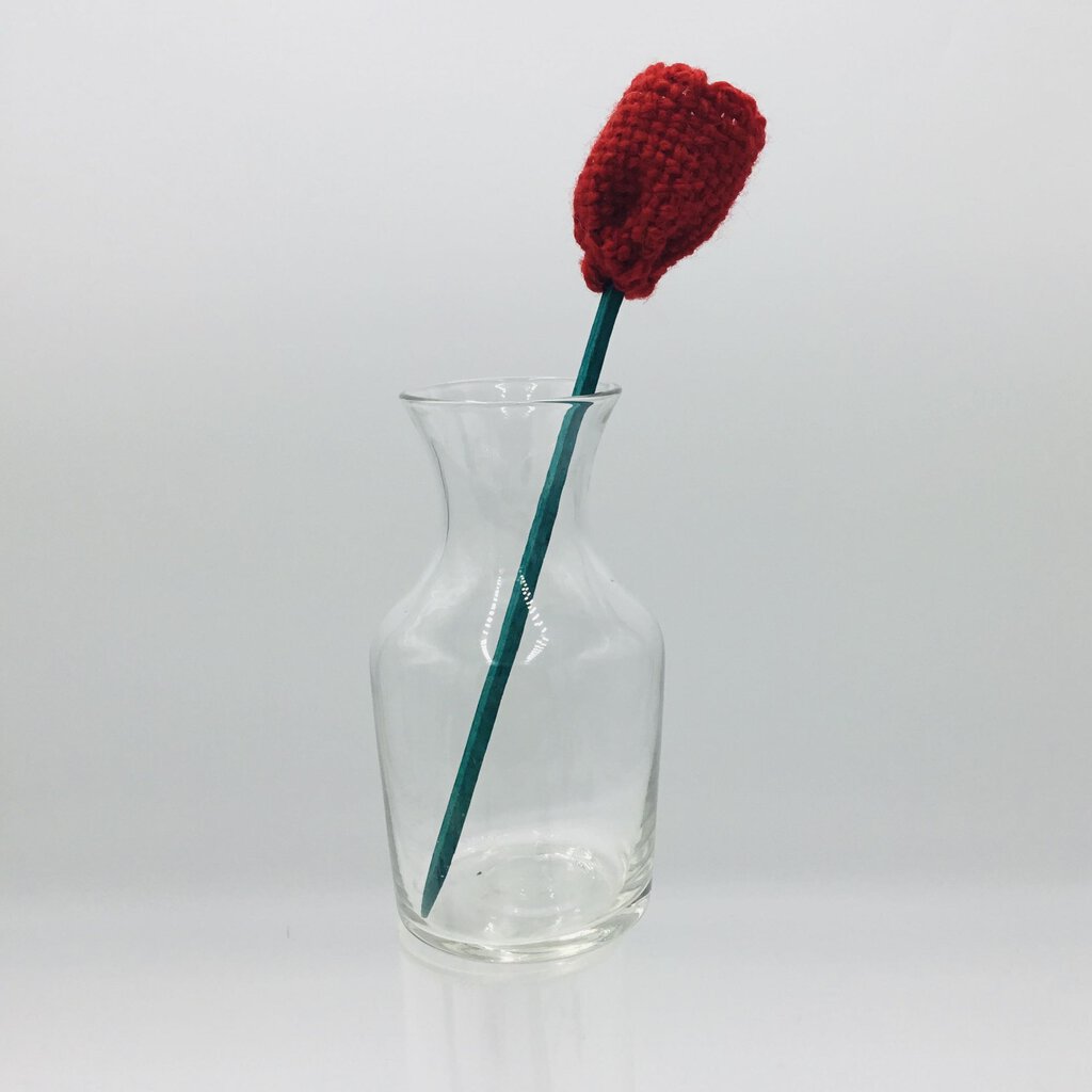 Twirlie Tulip Flower Stem