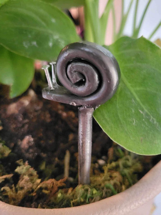 Snail on a Stick