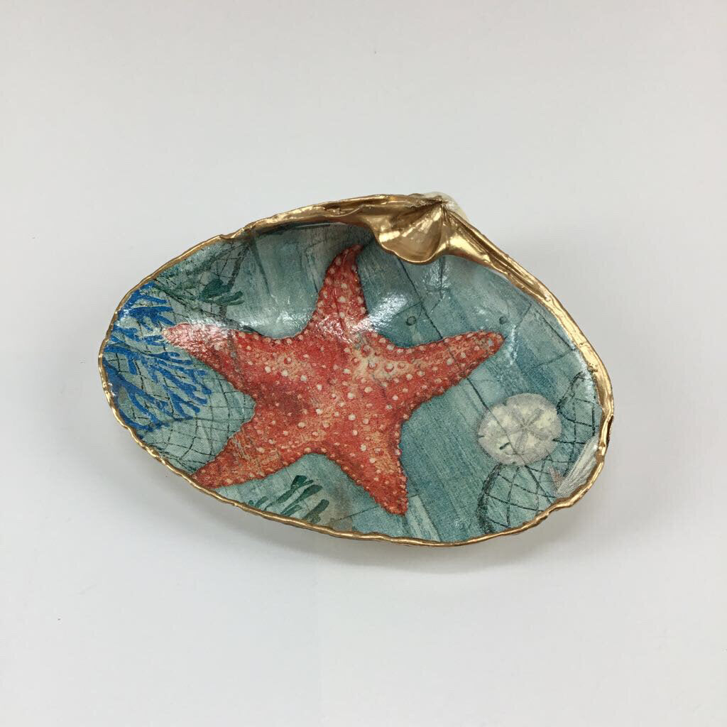 Red Starfish MD Clam ( Jenness Beach, Rye NH)