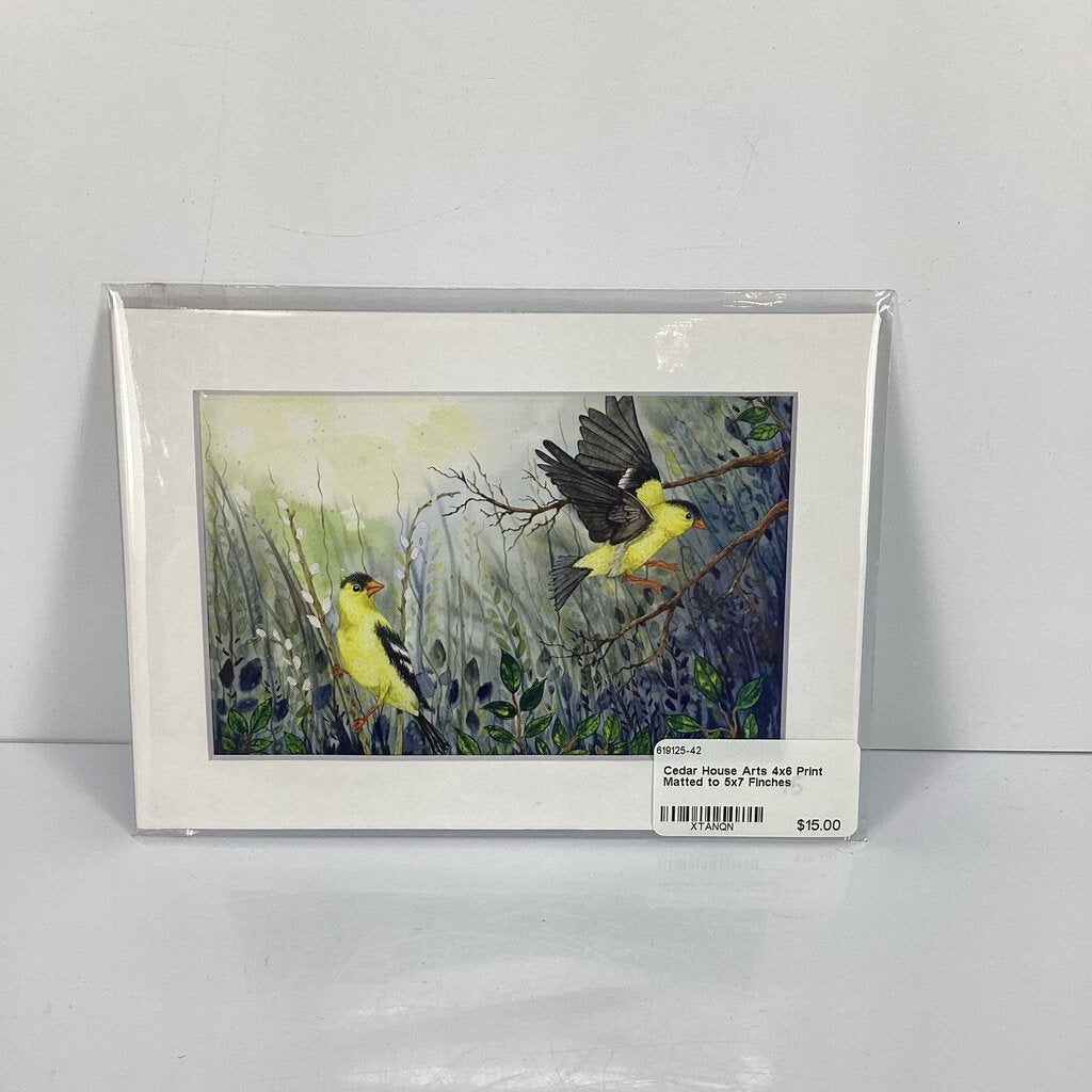 4x6 Print Matted to 5x7 Finches