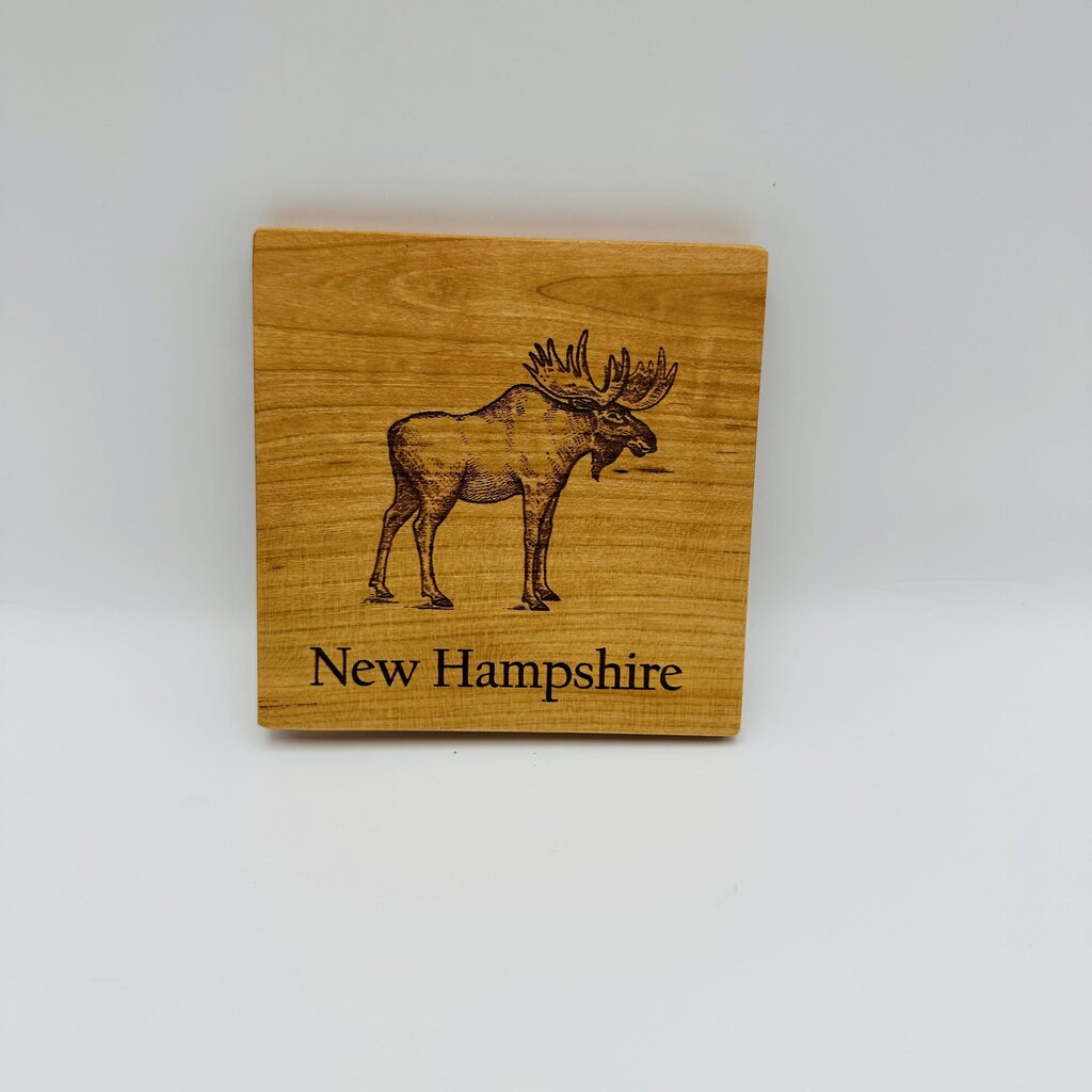 Moose coaster