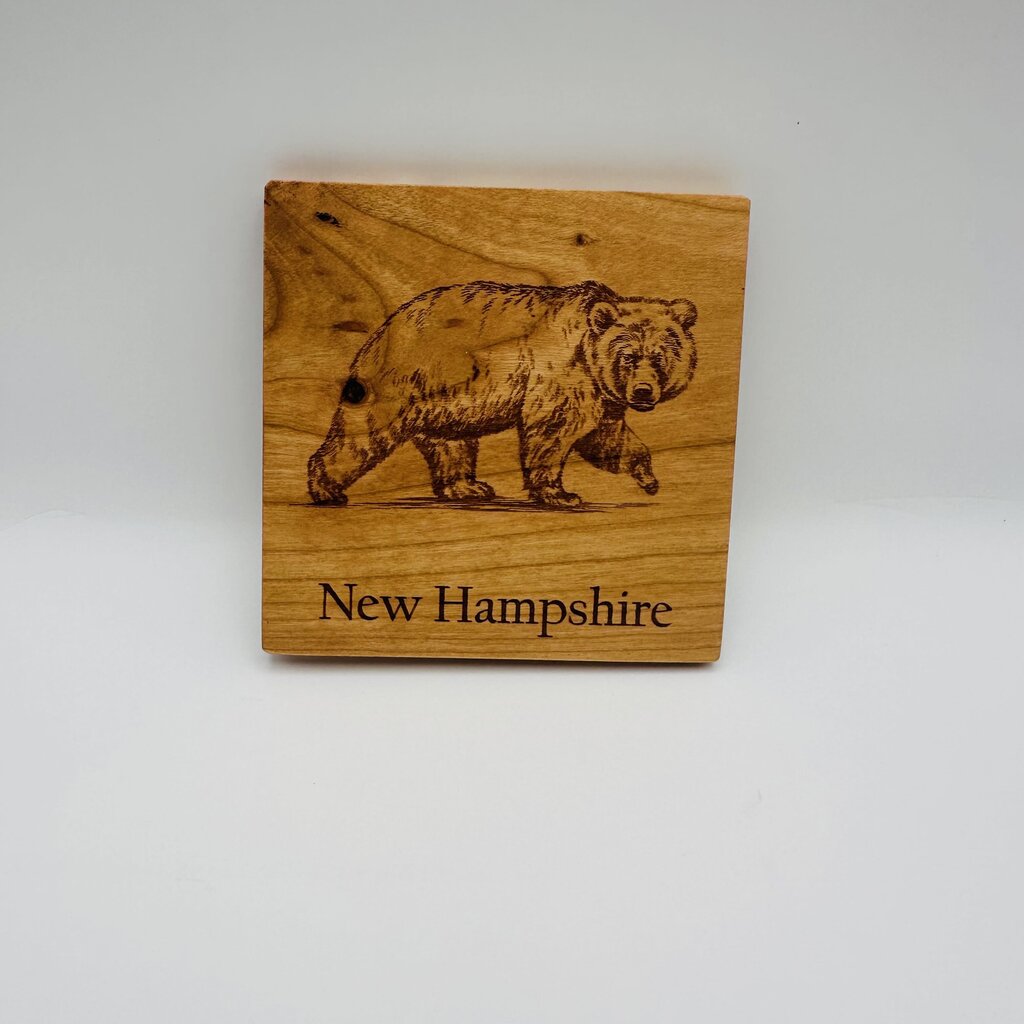 Bear coaster