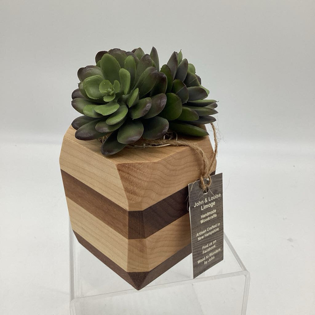 Succulent Plant Holder with Plant