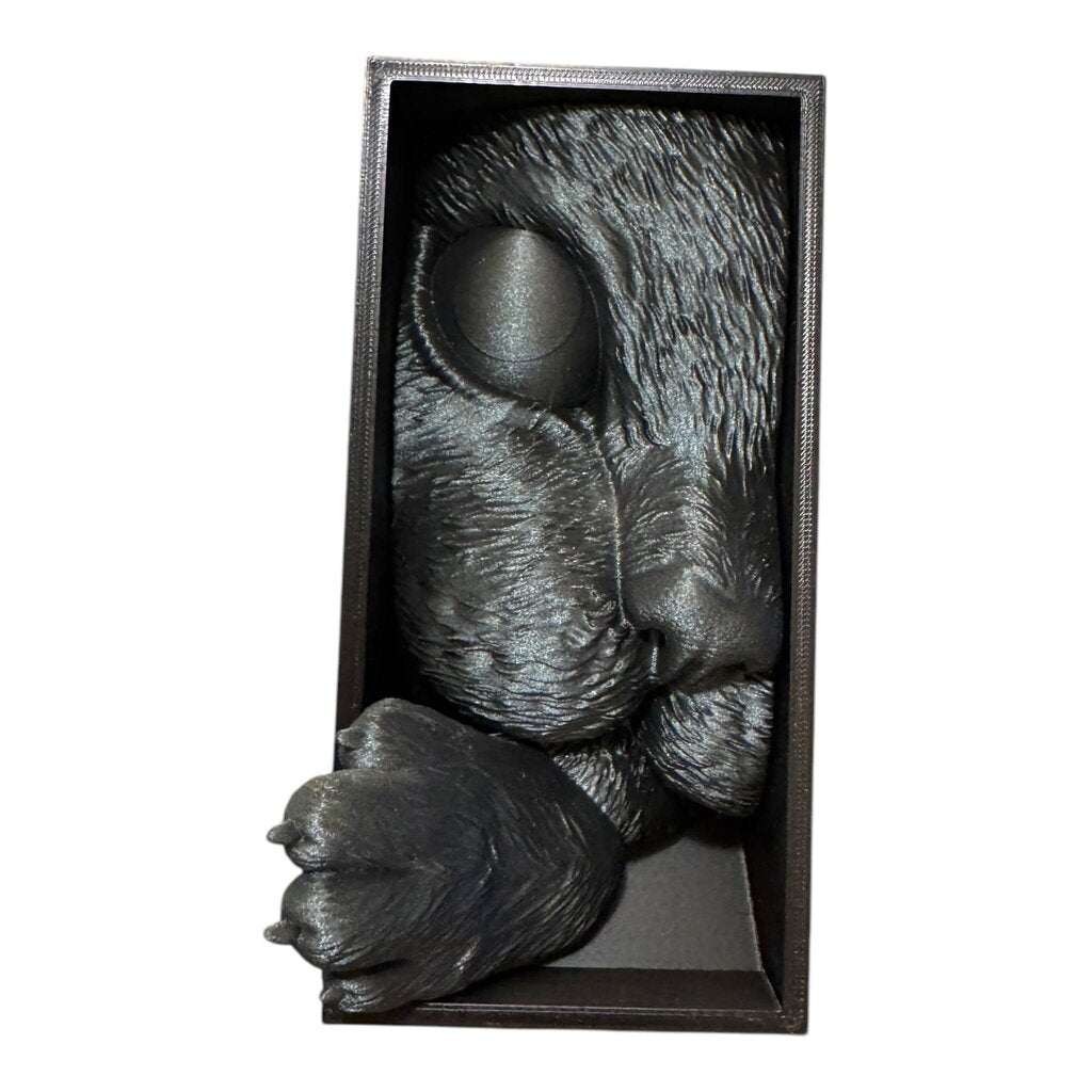 BOOK NOOK CURIOUS CAT MIDNIGHT SILVER/BLK