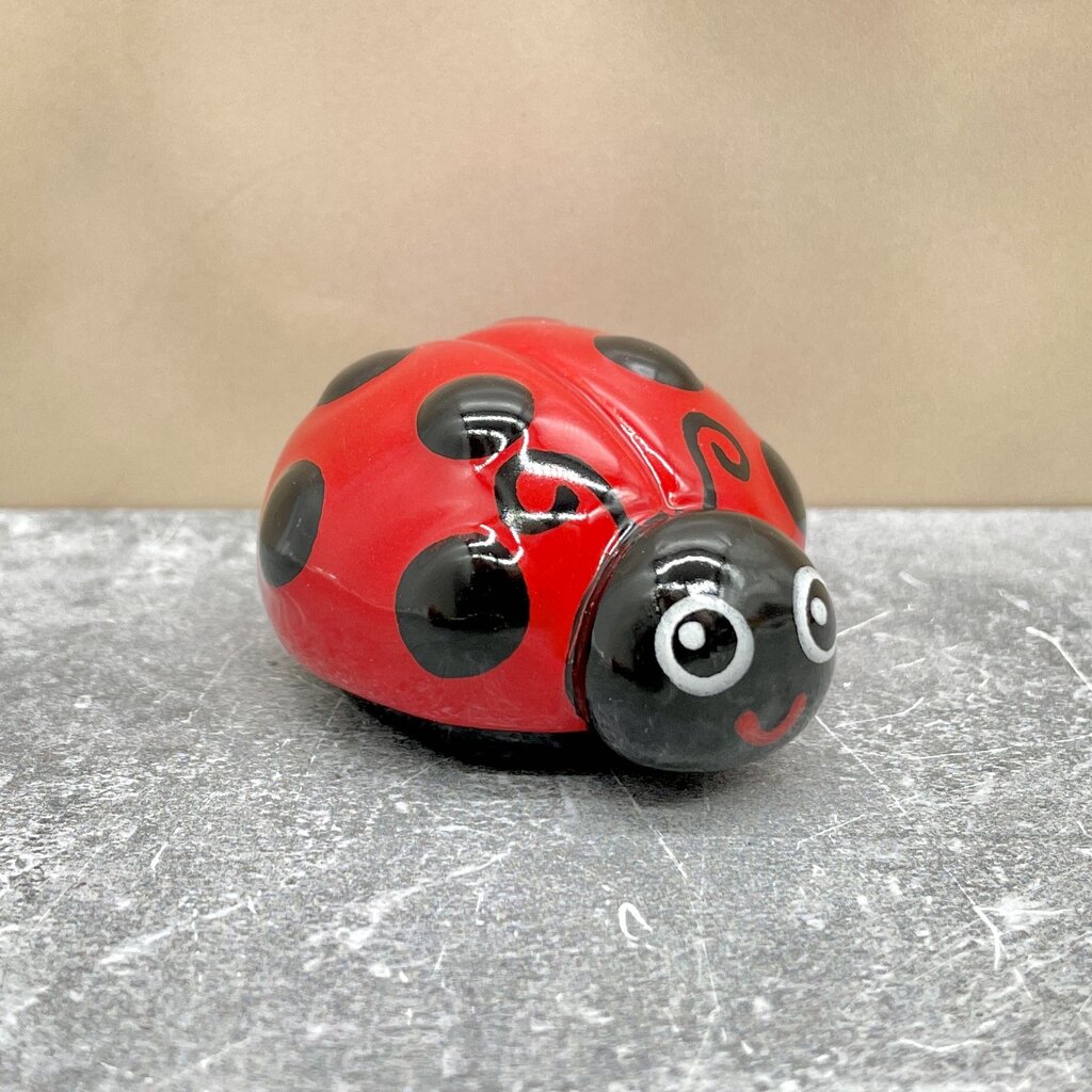 Ladybug Friend