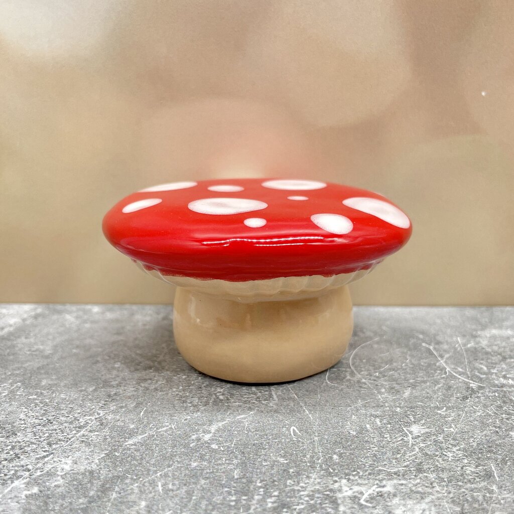 Mushroom Pedestal Platform