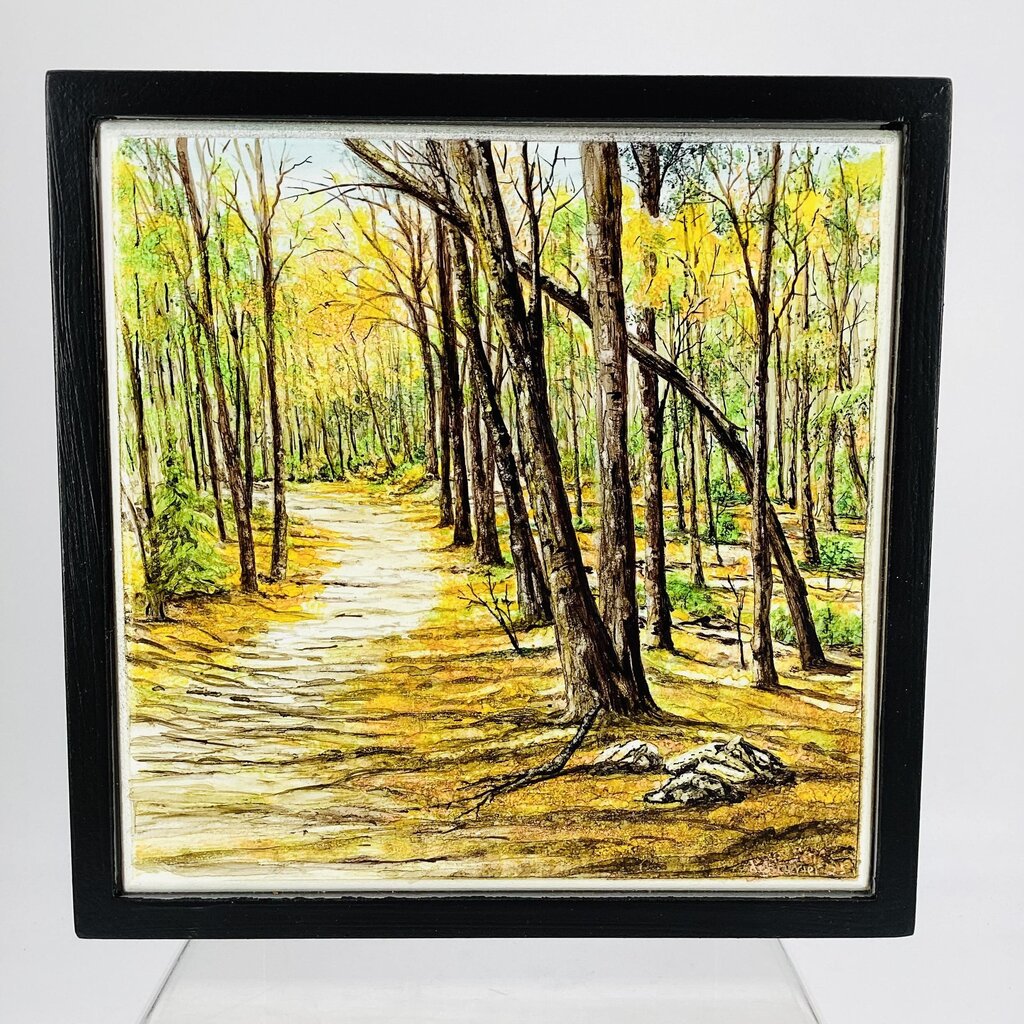 8x8 Clapboard- Path in the Woods