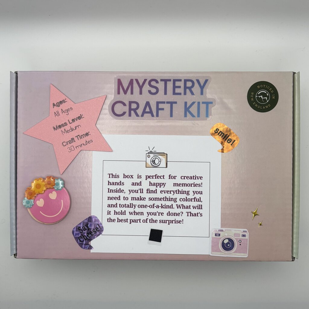 Blind Date Mystery Craft Kit 2 Picture