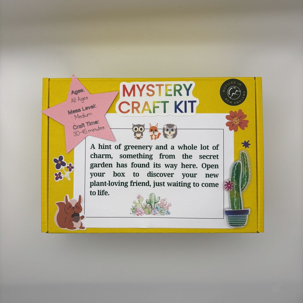 Blind Date Mystery Craft Kit 24 Animal
