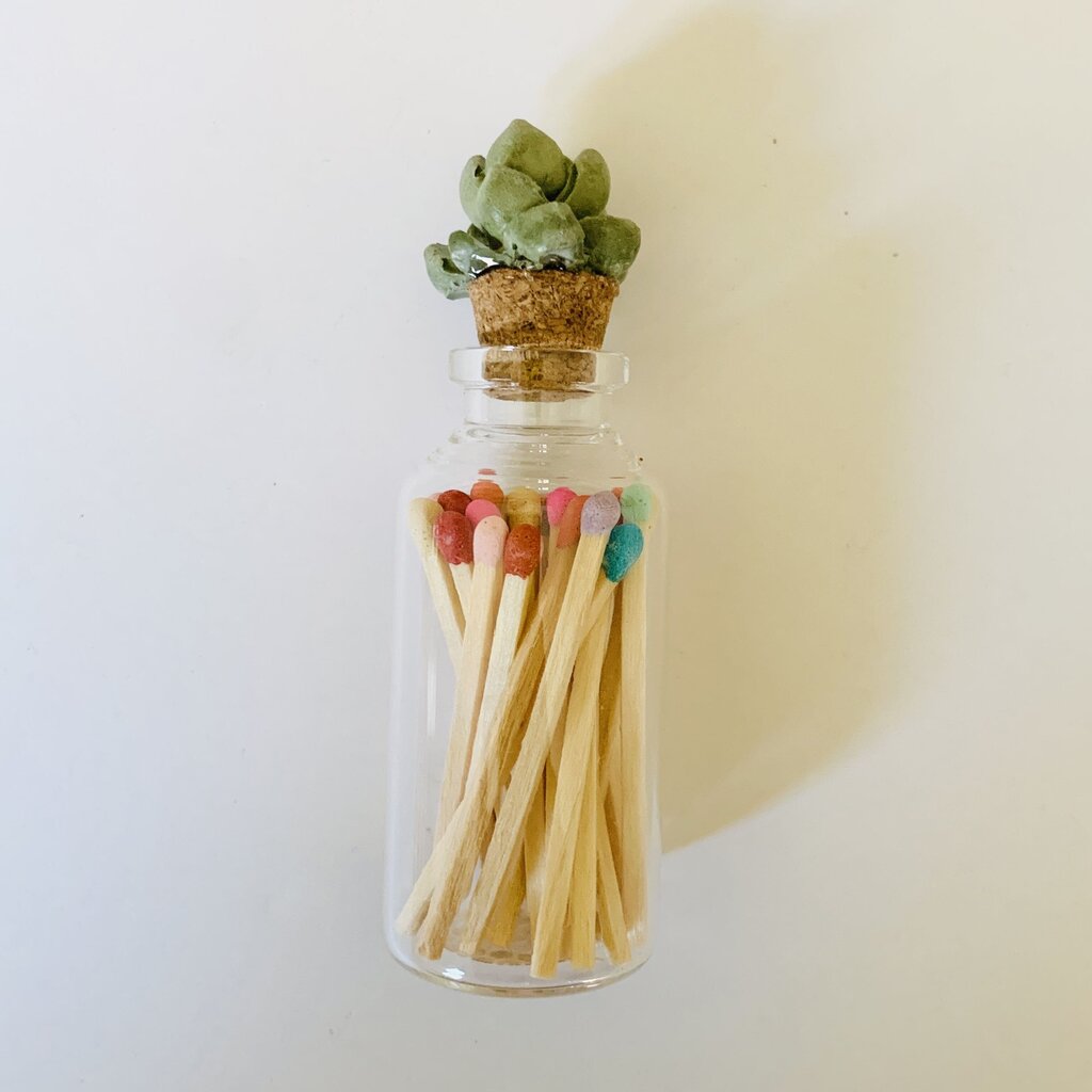 Succulent Glass Match Jar