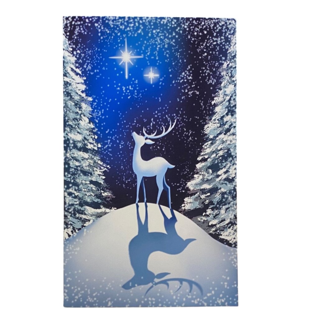 Winter Night Greeting Card