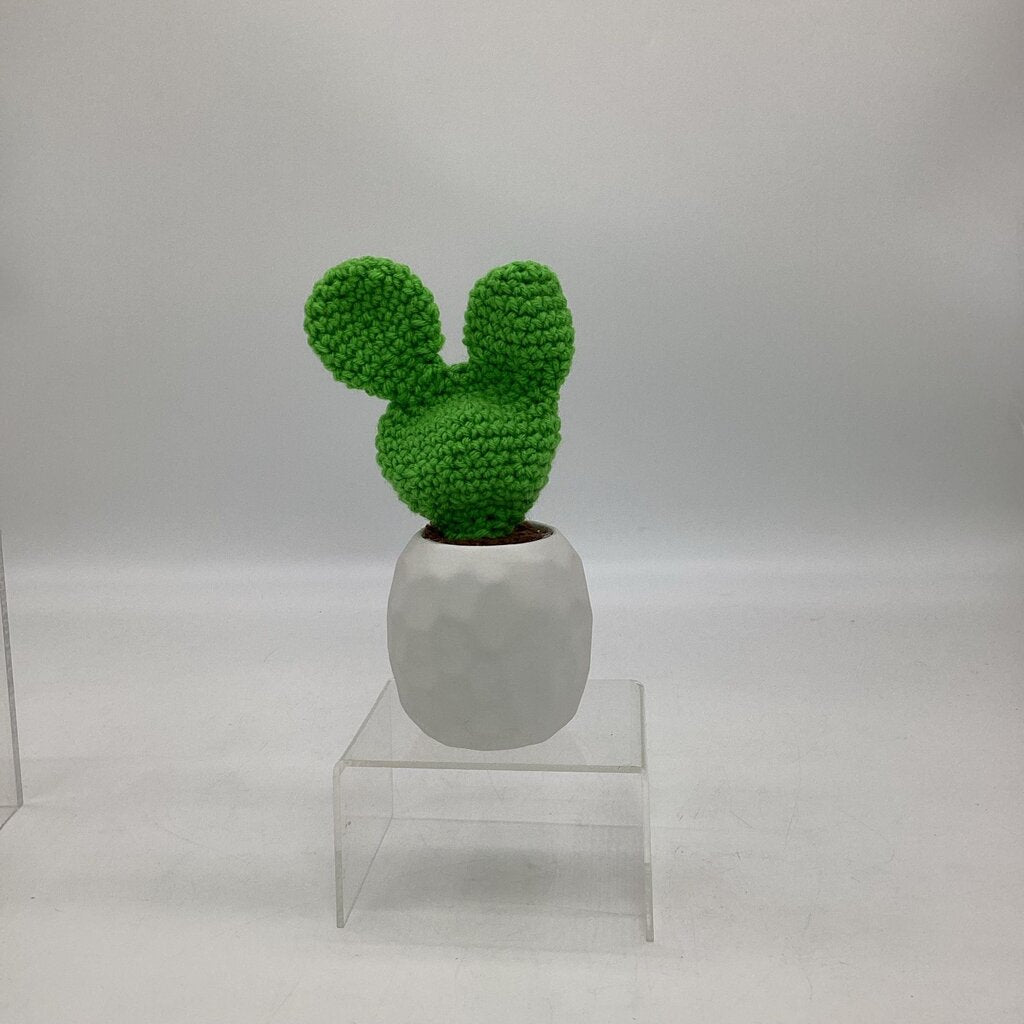 Paddle Cactus - White Pot