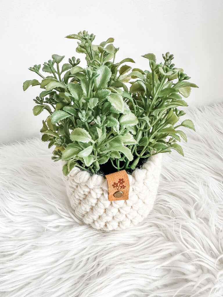 Large Faux Boxwood Plant Arrangement in Handmade Crochet Plant Cozy