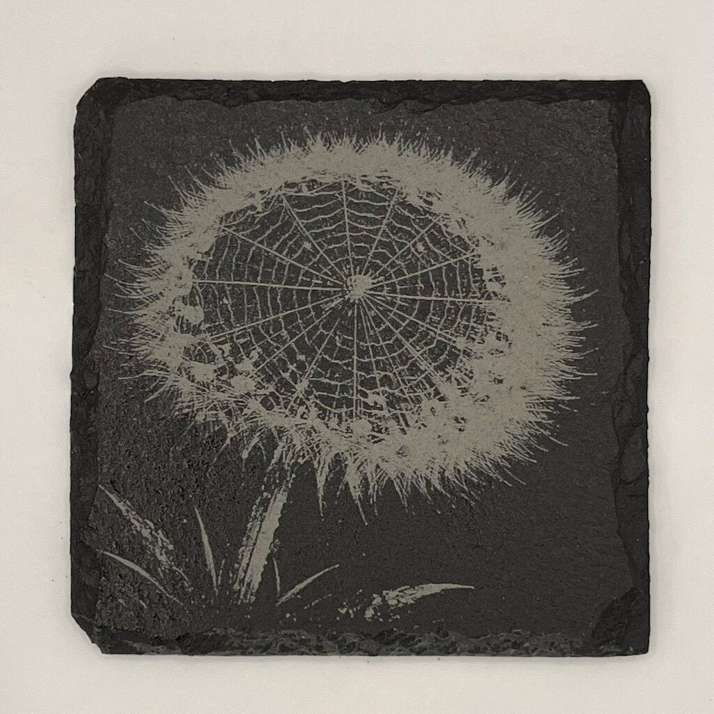 Coaster - Dandelion Web