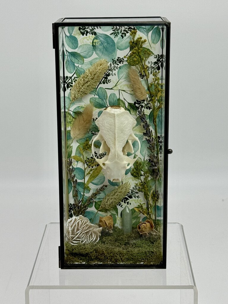 Mink Skull Box
