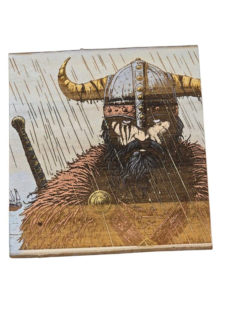 Viking in the Rain