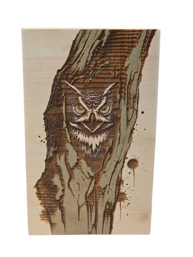 Med Owl in Tree