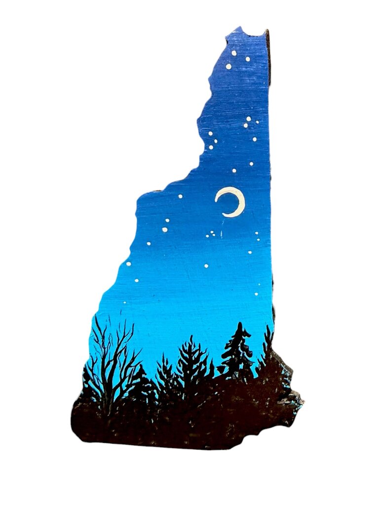 NH shaped magnet night scene