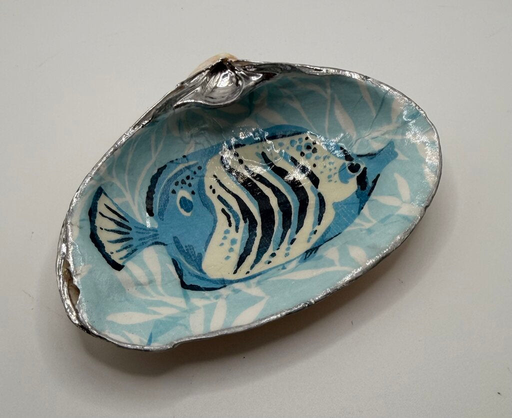 Blue Fish Clam Dish (Nahant Beach, MA)
