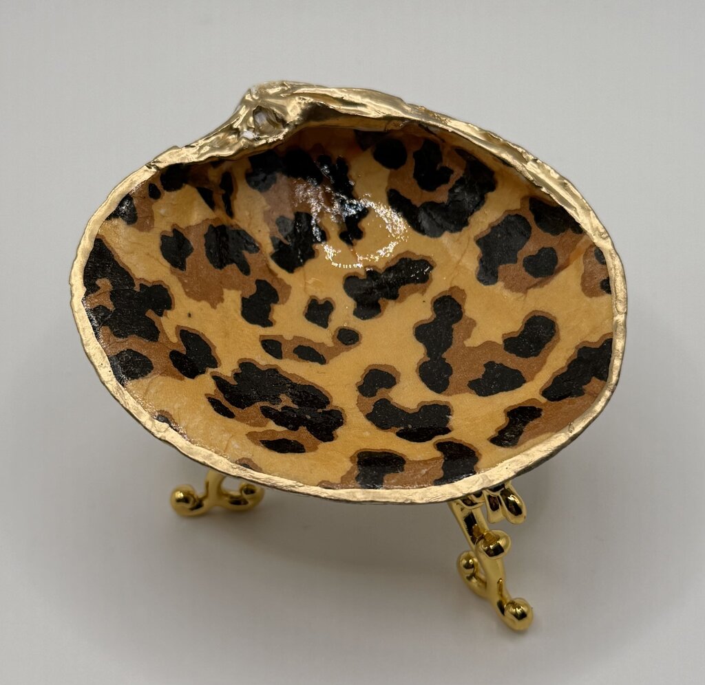 Cheetah SM Quahog (Nahant, MA)