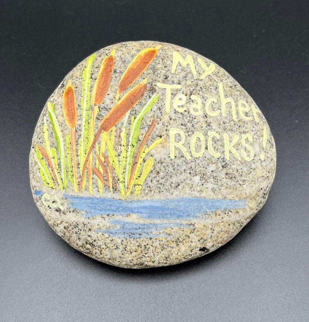 Rock LG nat "My Teacher Rocks"