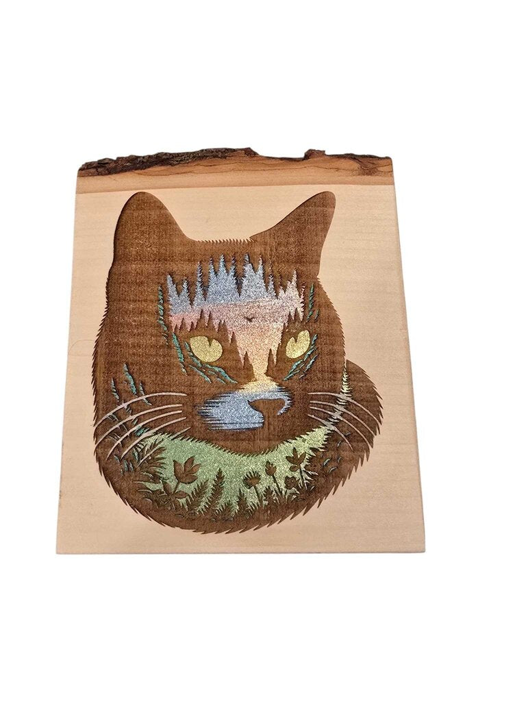 Midnight Cat