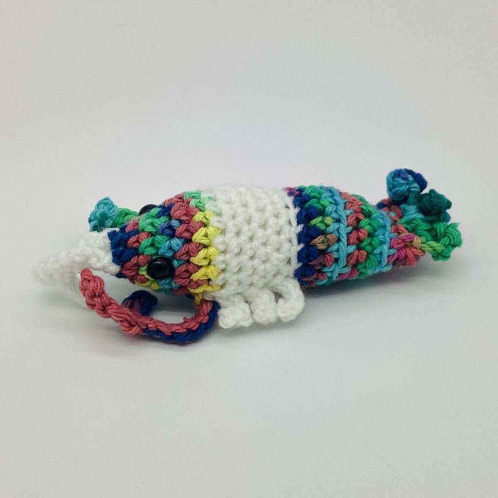 Rainbow and White Lobster