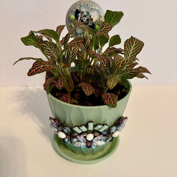 4 IN PLANT in SAGE PLANTER w/stake decorated w/jewelry