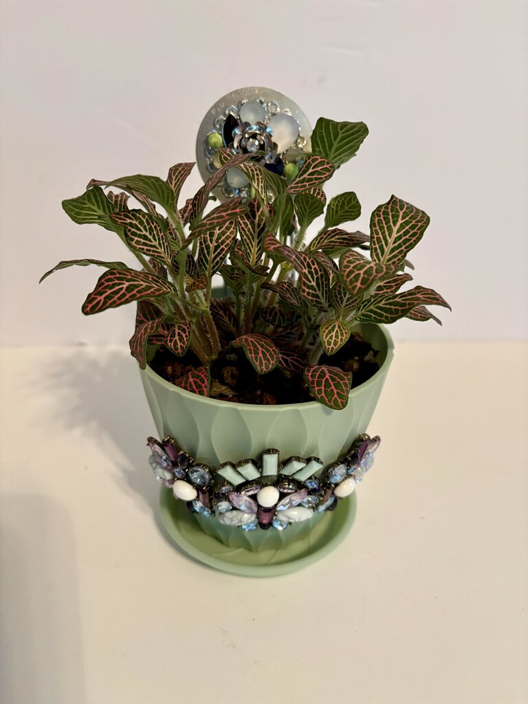4 IN PLANT in SAGE PLANTER w/stake decorated w/jewelry