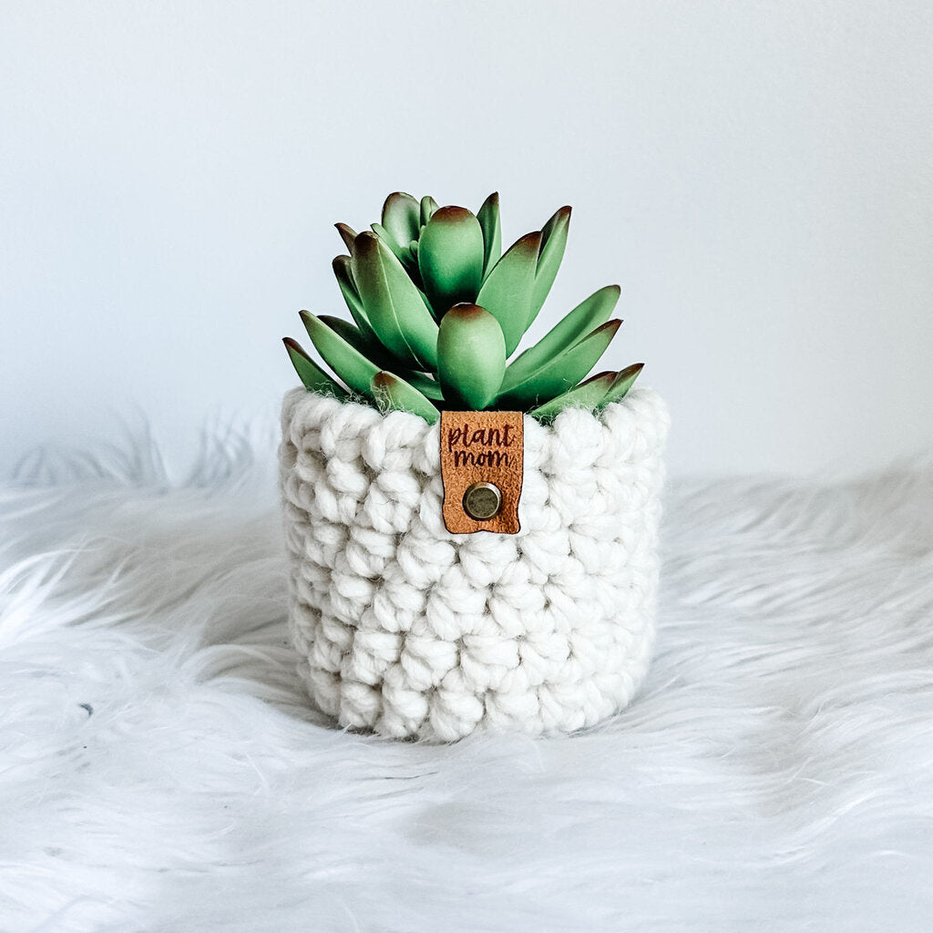 Faux Succulent With Handmade Crochet Plant Cozy (Style A2)