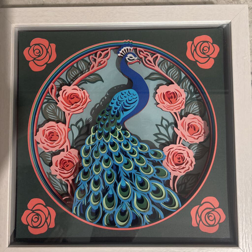 Peacock Shadowbox