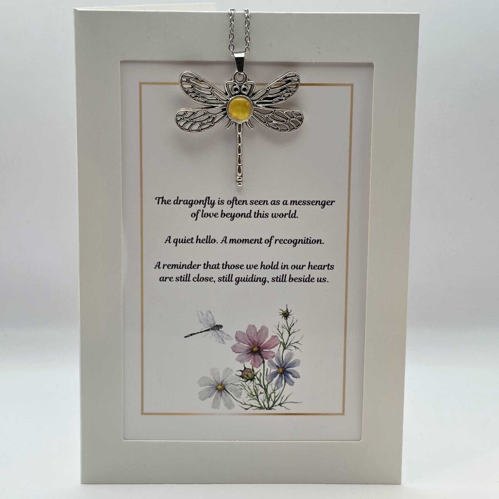 Dragonfly Pendant Gift Set - Messenger