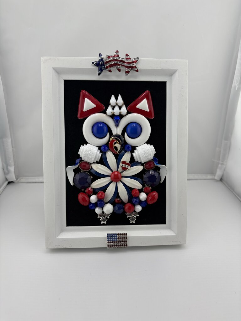PATRIOTIC OWL 5x7 WHITE FRAME