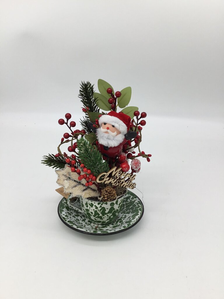 Santa in Green Enamel Cup and Saucer