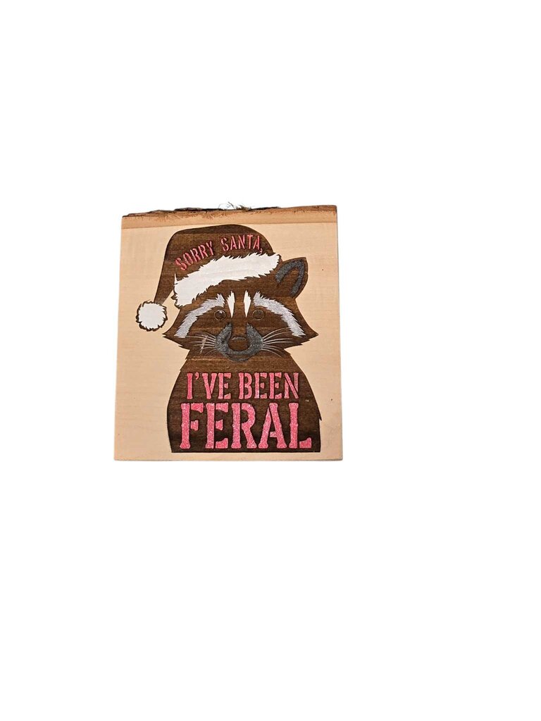 Sorry Santa