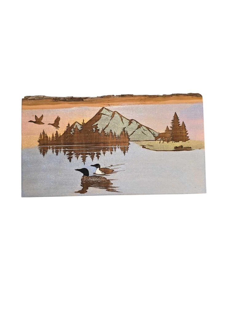 Loons at the Lake