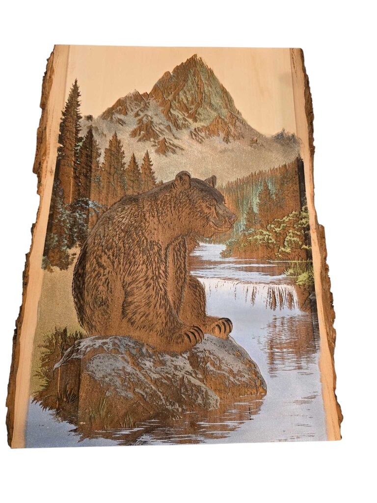 Bear on a Rock