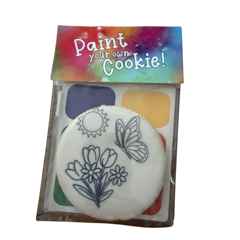 Paint-Your-Own Butterfly Cookie