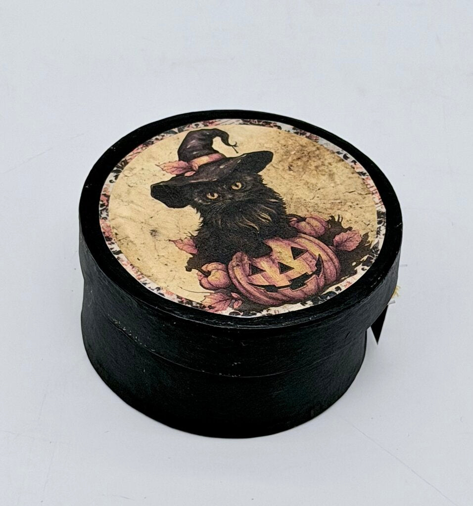 Cat witch pumpkin pantry box 4"