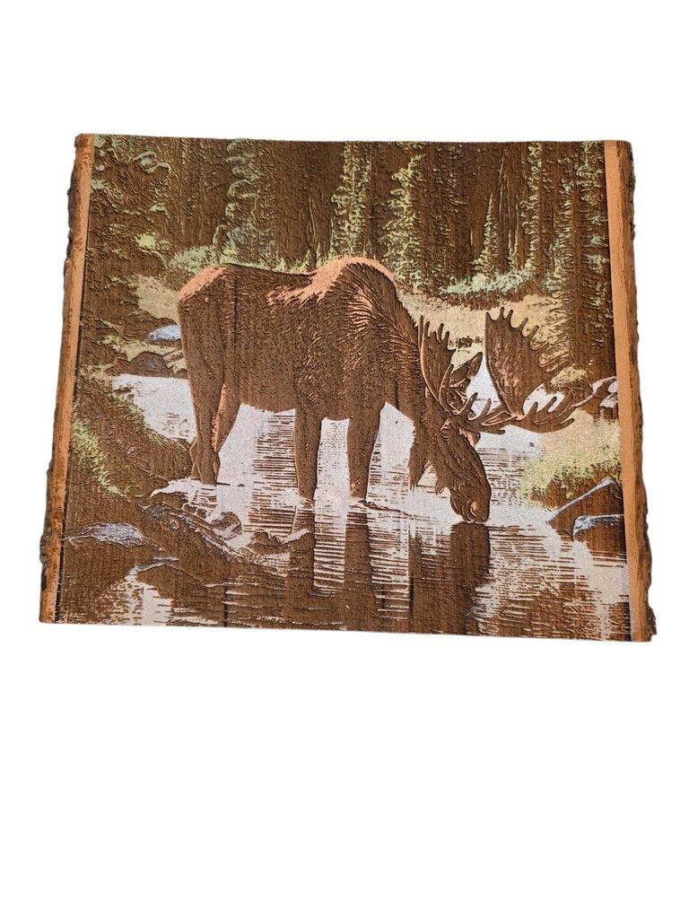 Moose
